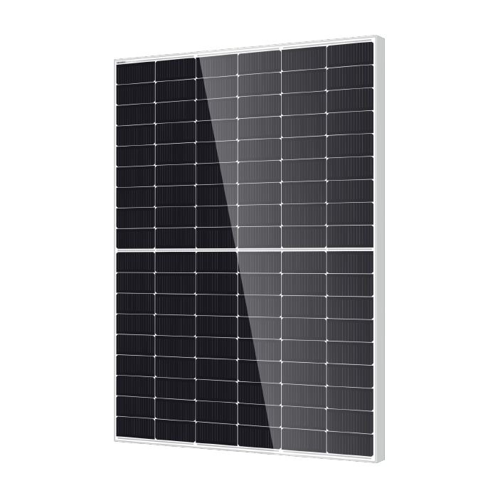 [DM450M10RT-B54HSW] DM450M10RT-B54HSW Bifacial Module con Double Glass - DMEGC