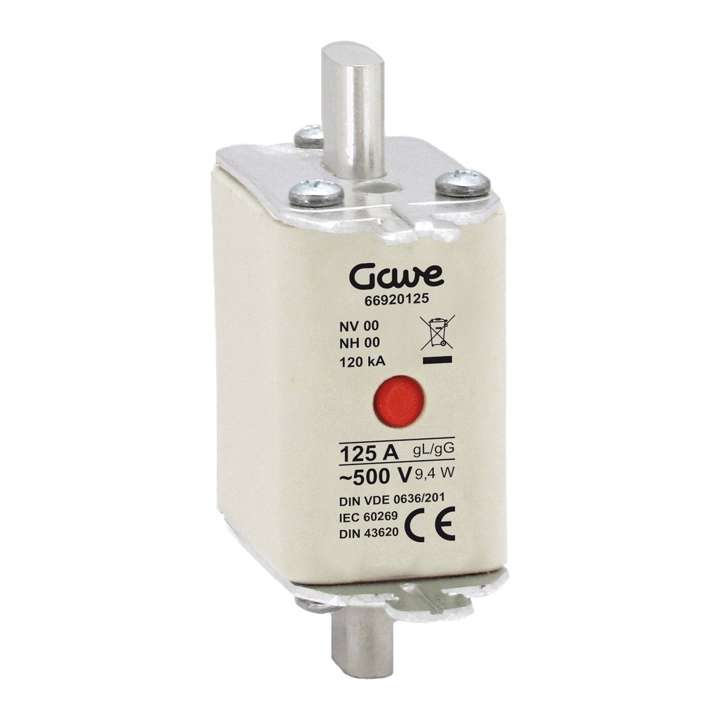 [66920125] FUSIBLE NH IND.FUSION GAVE 125A.GG T00