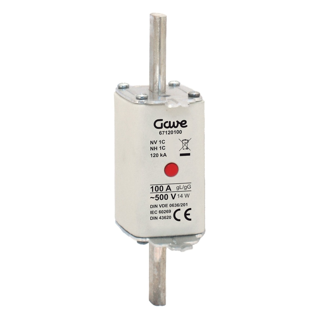 [67120100] FUSIBLE NH IND.FUSION GAVE 100A.GG T1
