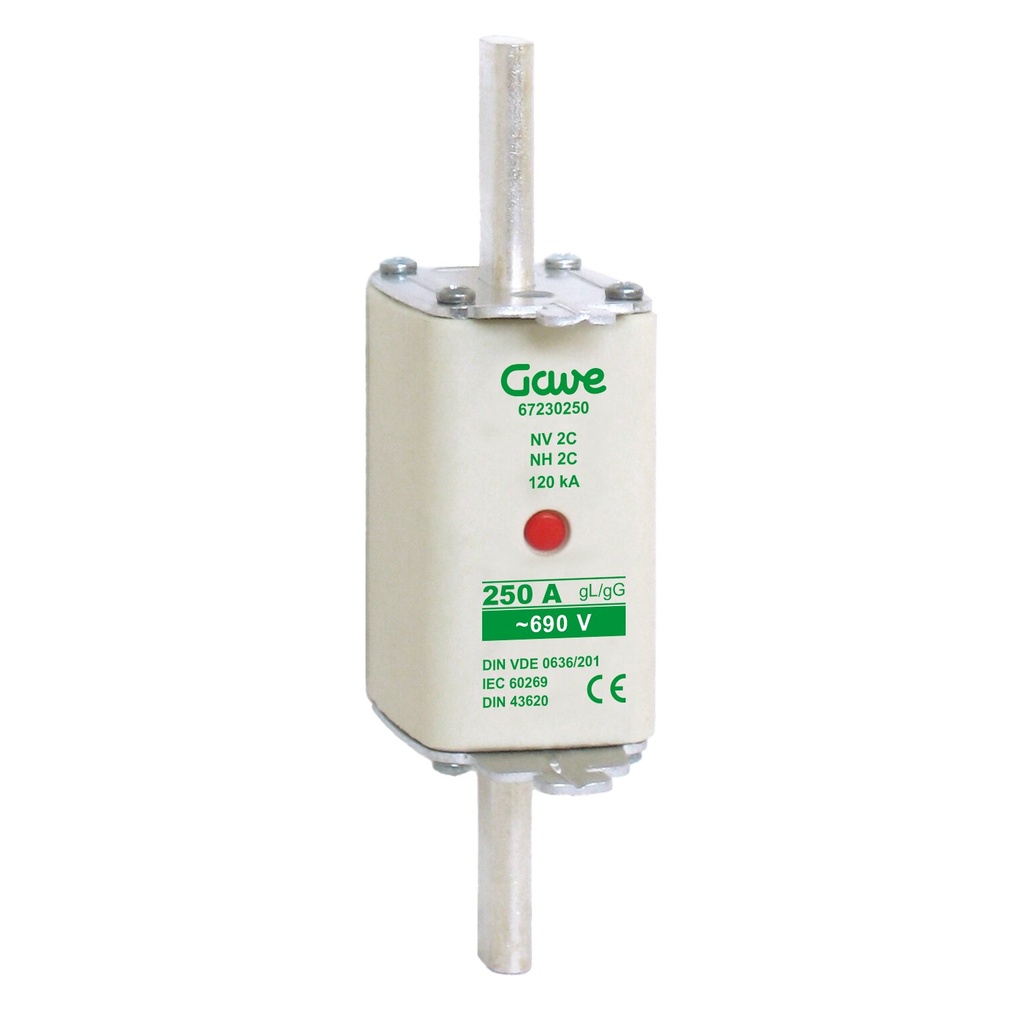 [67230250] FUSIBLE NH IND.FUSION 250A.AM T2 GAVE