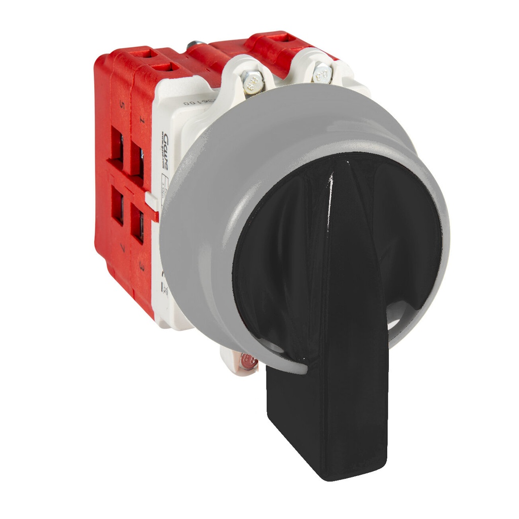 INTERRUPTOR 2P GAVE 63A.D2 MANDO BLOQUEO CANDADO IP69K