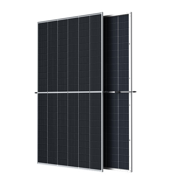 [TSM-660-DEG21C.20] Vertex 660W Bifacial Half-Cut Silver Frame