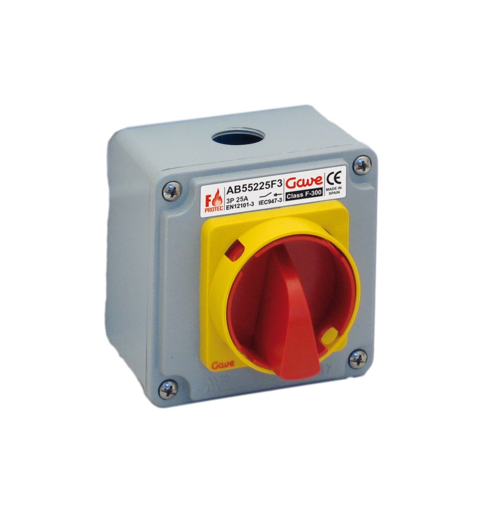 [AB55625F3] INTERRUPTOR  6P 25A D0 F300 PROTEC