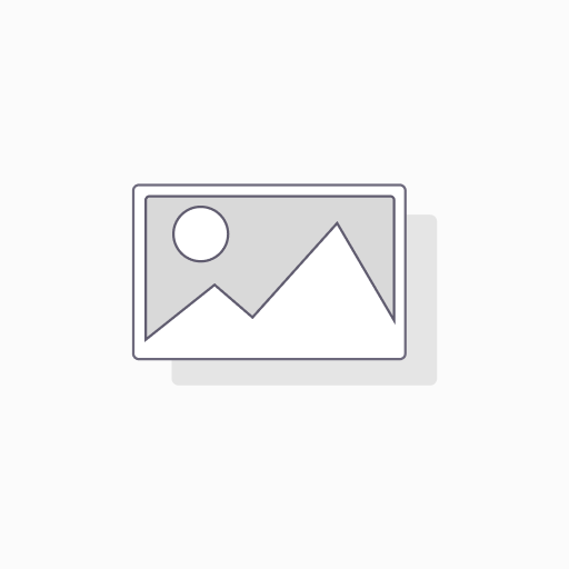FUSIBLE NH IND.FUSION 160A.AM T2 CON PERCUTOR